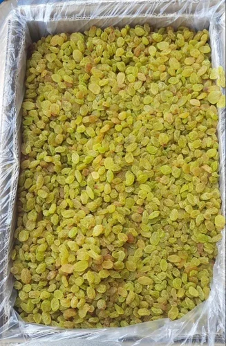 Product 12